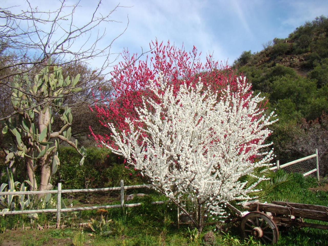 Waterval Farmstay Graaff-Reinet Eksteriør bilde